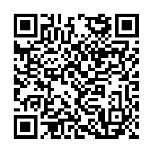 可是今天的发言基本上没有提到分步实施改制工作二维码生成