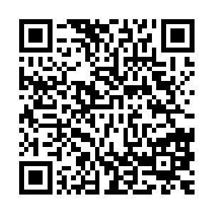 可是今早确实是振武营的人持着盖章的公文去邀请我和黄侍郎的二维码生成