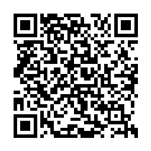 可是仍旧见到游大龙和秦东等人流连在书架之旁二维码生成
