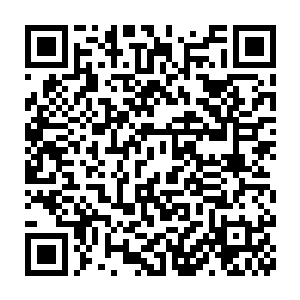 可是他一直在自己的脑海中为狼王设计着适合野狼来跳的舞蹈动作二维码生成