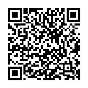 可是他仍然听出了他杀死原来的族长他的大哥鸠占鹊巢的事情二维码生成