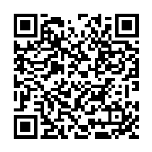 可是他们为什么还能在一个细胞里而不无限的分裂二维码生成