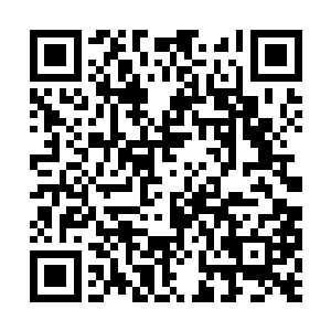 可是他们也没有胆量指责作为元婴老祖的蓝阳羽士二维码生成