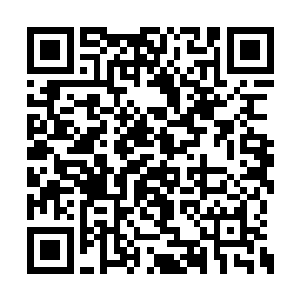 可是他们似乎都是在同一时间被人追着喊打喊骂二维码生成