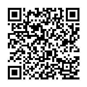 可是他们这些儿孙却总打扰两位老人的清净生活二维码生成