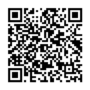 可是他们都有足够的借口让技能成为他们的杀手锏二维码生成