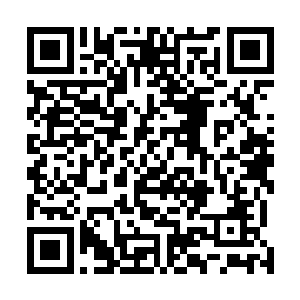 可是他刚刚迈出了两步就被李虎一把扯了回来倒退了四步二维码生成