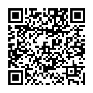 可是他的舅姥爷也不能够就可着李象一个人压榨呀二维码生成