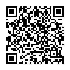 可是他自认为还是从没有遇到过有傻妞如此绝美的丽人儿二维码生成