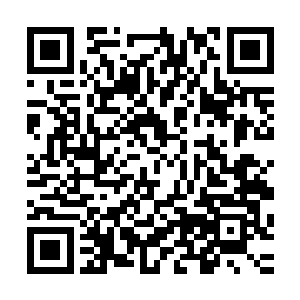 可是代表团的成员和瑞典官方派出来的陪同人员都在里面困着二维码生成