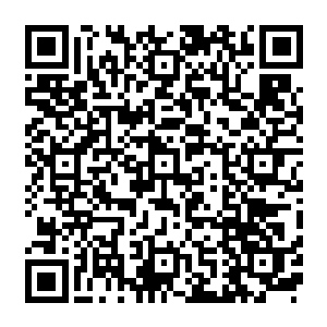 可是众人从他那自信和兴奋的摸样也大概可以猜测到楚航一定是得到了某种极为强大的能力二维码生成