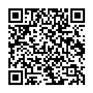 可是作为领导集体的一员必须得服从常委会的决定二维码生成