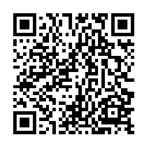 可是你只用了几十天的时间就栽培出了那么神奇的剑兰二维码生成