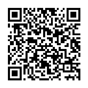 可是你并没有悲伤情绪……所以南宫流云并没有死二维码生成