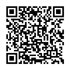 可是你知道现在那幅画确定是八大山人的作品后二维码生成