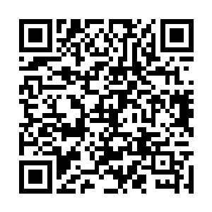 可是你秦家的人现在来了却说什么吴虎臣欺人太甚二维码生成