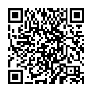 可是你要知道这点真元的消耗对我来说根本算不上什么二维码生成