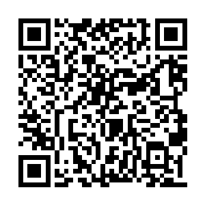 可是偏偏就是这副小身板儿里蕴含着大量的知识二维码生成