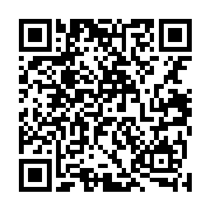 可是偏偏这个田云云从高中就自带一个男朋友一起上大学二维码生成