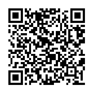 可是光辉之城创始之初五位巨头之一的叶延始祖二维码生成