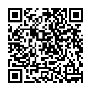 可是内部的一道人影为什么能隔着虚幻的世界伤到我二维码生成