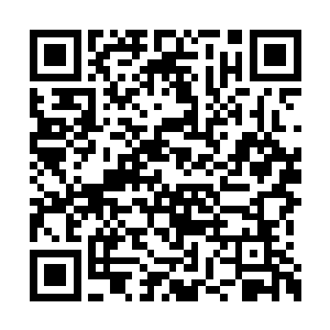 可是凭什么我就一定要按照你想要的样子去生活二维码生成