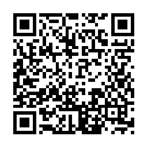 可是凭她一已之力将杜府的布庄生意支撑下来的二维码生成