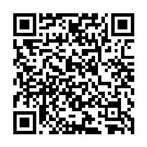 可是出乎他们意料的是花家老爷子竟然什么也没有说二维码生成