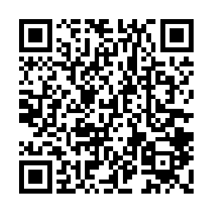 可是刚才我是真感觉到灵莲的影像晃了那么一下二维码生成
