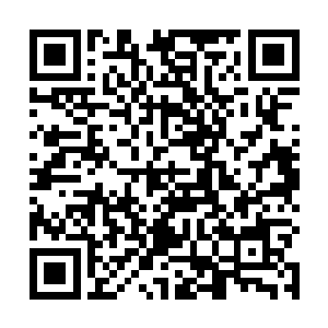 可是刚才这一招记忆光点……分明就是主神才有的技能二维码生成