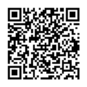 可是到现在为止它们的领袖还没有发出撤退的命令二维码生成