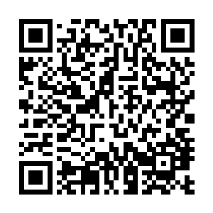 可是前几天我不是在阅江楼上还见过小帘姑娘和小屏姑娘吗二维码生成