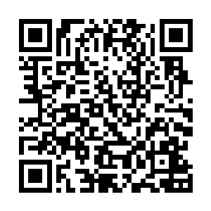 可是办理假护照并给他的假身份办理真正的签证需要时间二维码生成