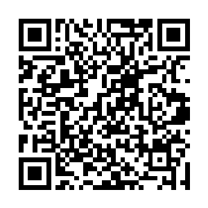 可是卢八娘还是在她一直略垂着的眼睛中看到她的自傲二维码生成