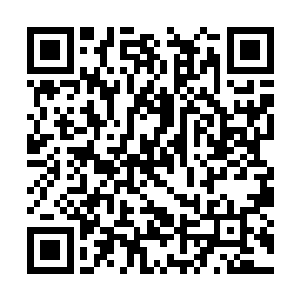 可是却一直没能再从人域之中找到最适合自己吞噬二维码生成