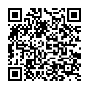 可是却包含了所有生命体精神和生存层面的一切需要二维码生成