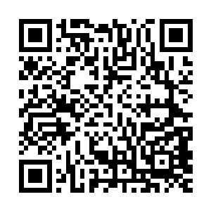 可是却可以看的更加仔细一些……看着那渐渐露出来的白皙肌肤二维码生成