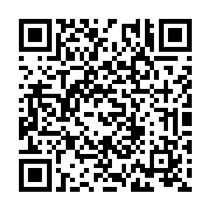 可是却愿意为了它买上许多它爱吃的紫浆果当零食二维码生成