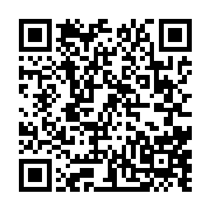 可是却无法探知她所在的这个世界到底是哪一个星球二维码生成