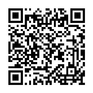 可是却没想到龙傲天的实力竟然真的如此的恐怖二维码生成