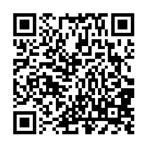 可是却没想到龙傲天竟然会用如此恐怖的手段灭掉对方二维码生成