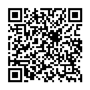 可是却没有想到那些海族居然也想要打我们妖族圣地的主意二维码生成