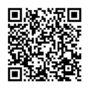 可是却被陆锦阳从她的话中听出来几分不一样的味道来二维码生成