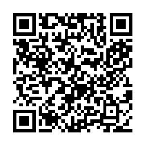 可是原本可爱单纯的脸上依旧留下了火烧的痕迹二维码生成