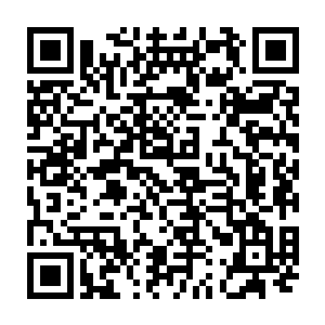 可是古里身上什么都没有…而且现在想给他加持一个能量盾已经来不及了二维码生成
