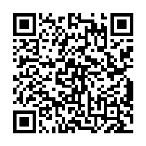 可是同样他也知道这个需要付出的代价可是十分的恐怖的二维码生成