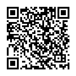 可是和自己的焚天帝尊指却有高达八成半的契合度二维码生成