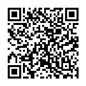 可是在寻找着当时和那位姓慕的女施主一起挂上的信物二维码生成