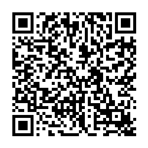 可是在战斗中能够发挥出来的战斗力却仿佛还并不如铁血异形这么强大二维码生成