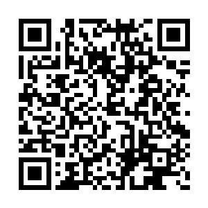 可是在朝着上古科莫音巨蛇的方向在不断发展的二维码生成